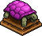 Tortuga Purpura