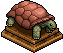 Tortuga Salmon