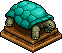 Tortuga Turquesa