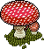 Amanita