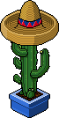 Cactus Supertijuana