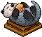 Nutria Gris