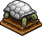 Tortuga Blanca