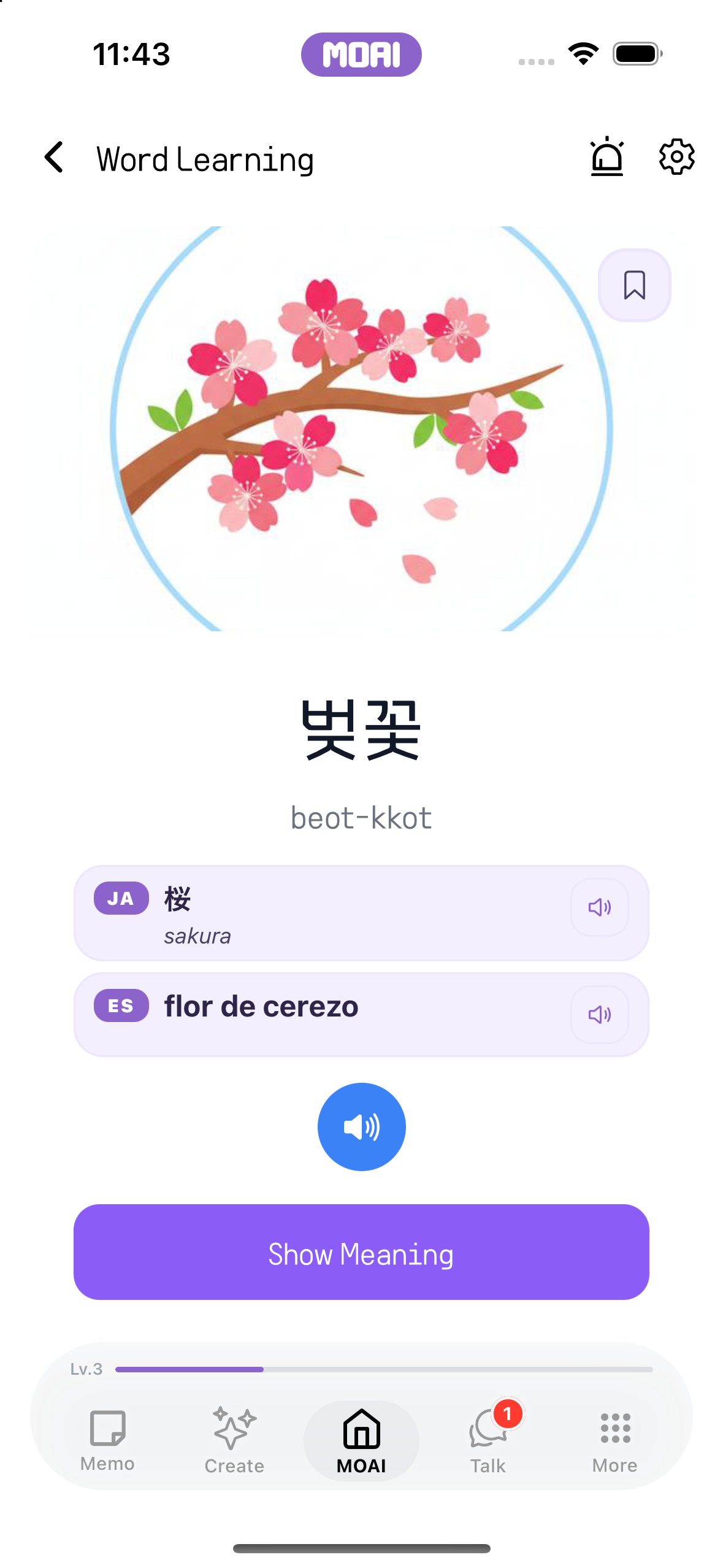 일러스트와 함께 단어를 배우는 화면. 한국어, 일본어, 스페인어가 함께 표시됩니다.