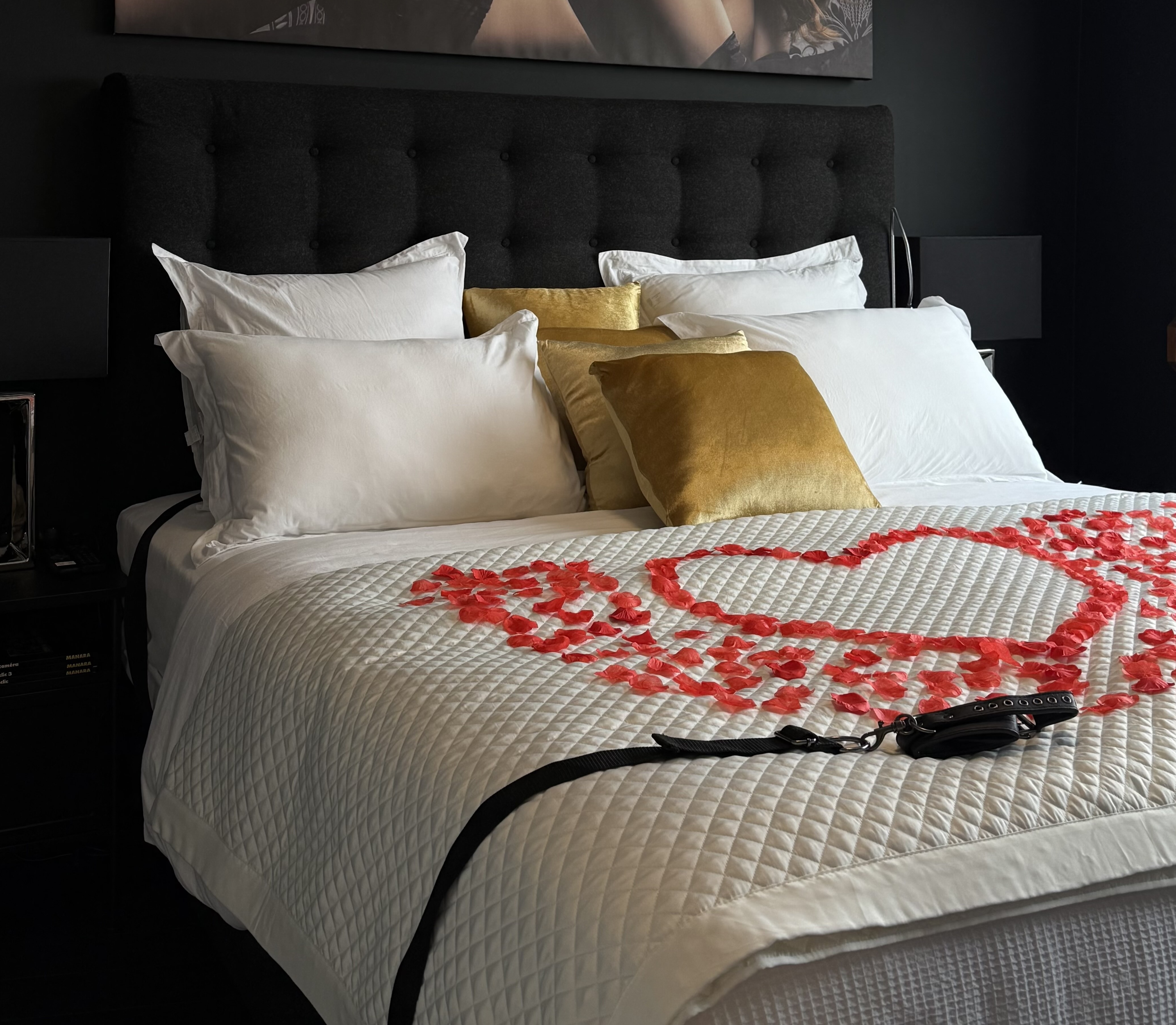 Love room Rennes - Love Horizons