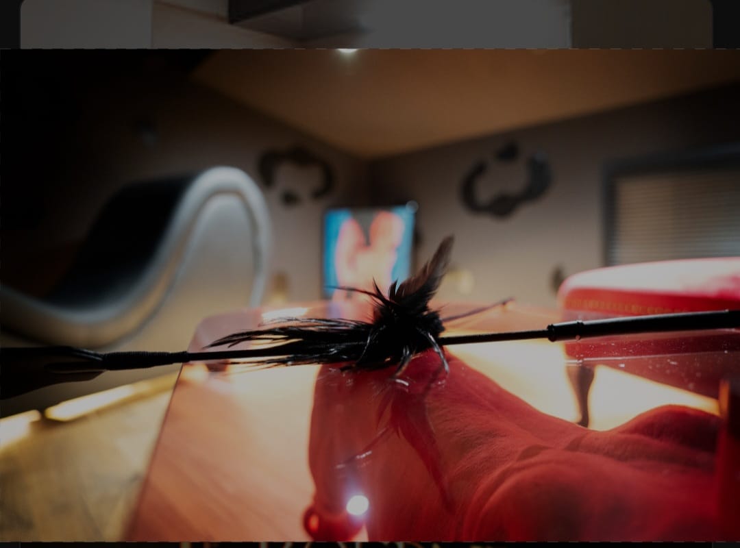 Le Boudoir Interdit Love room d’exception à Nizas