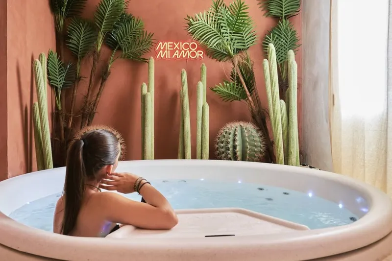 Suite Salsa à Bruay-la-Buissière — spa privatif de 100 m² avec jacuzzi et sauna à Bruay-la-Buissière