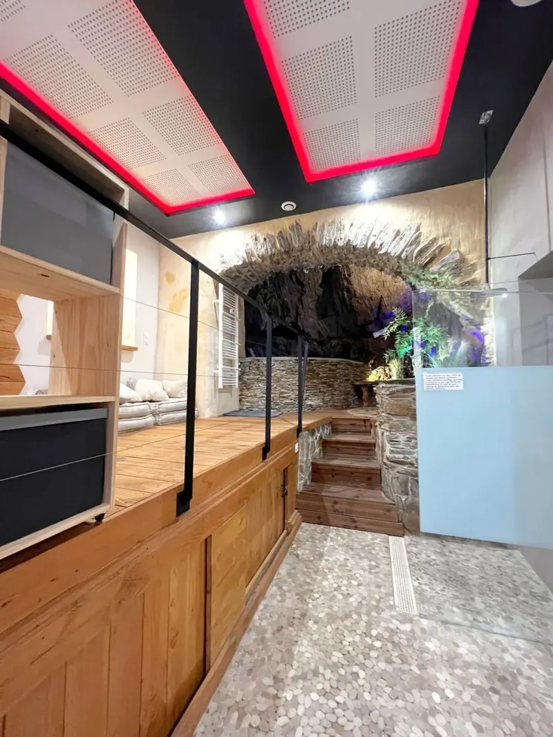 Le Ginkgo à Collioure — Appartement de 90 m² avec spa troglodyte près de la plage à Collioure