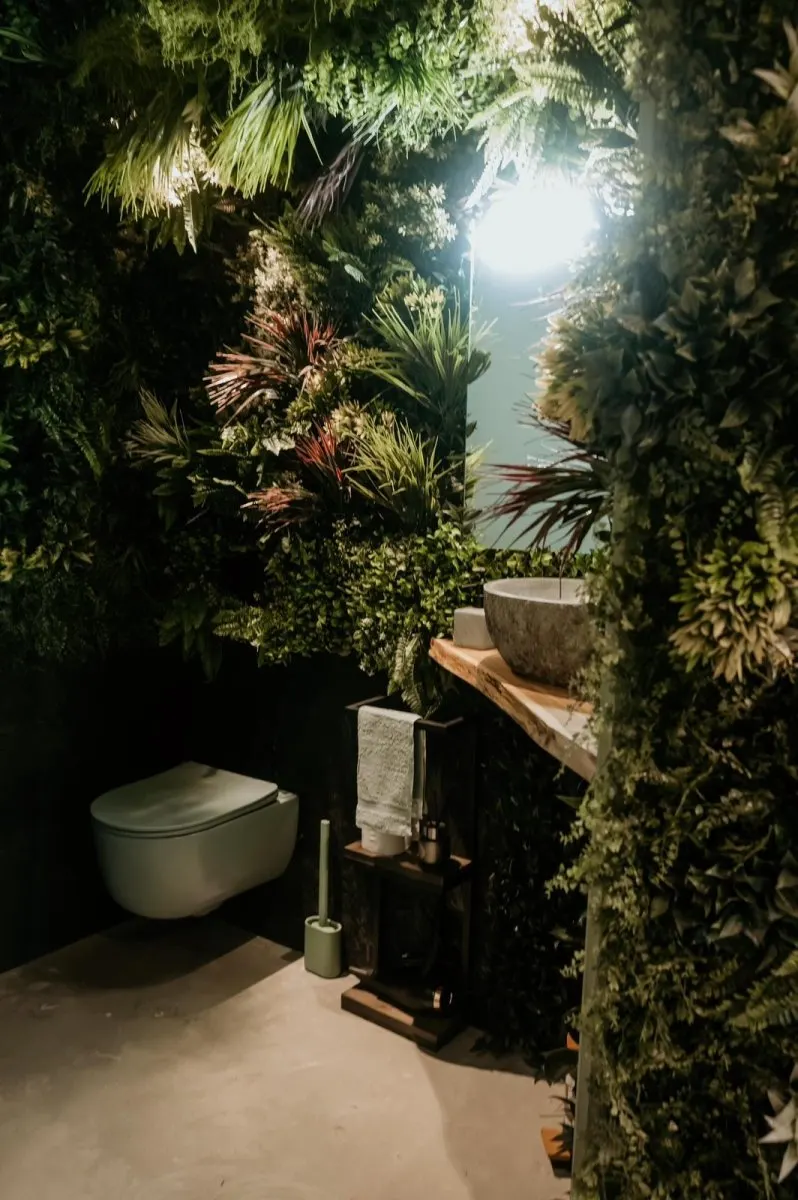 La Jungle de Toulon à Toulon