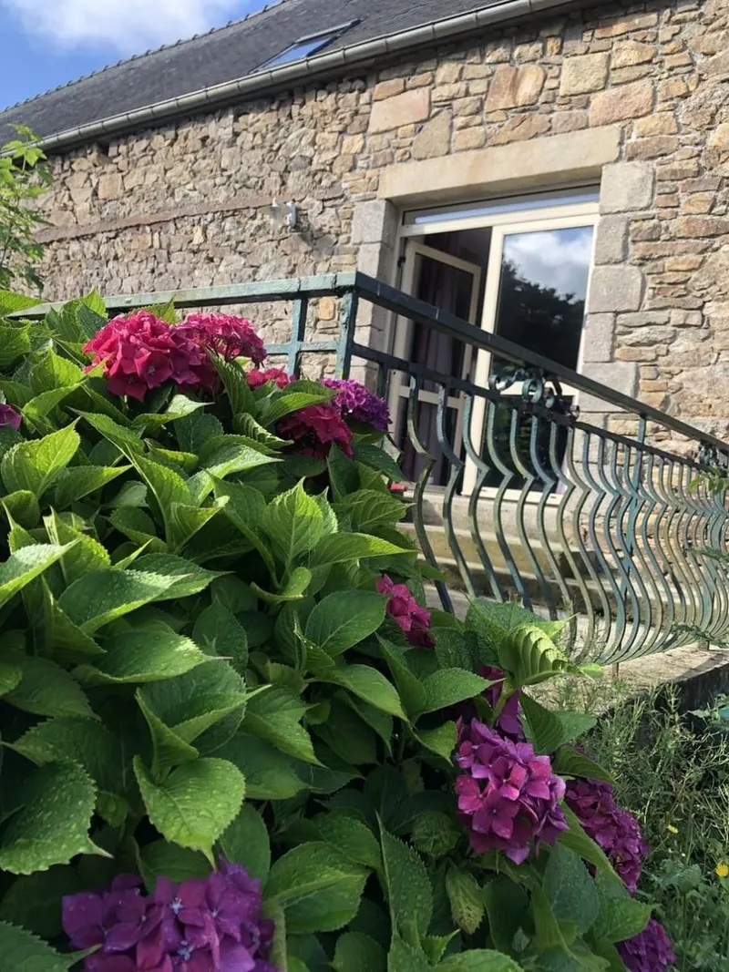 Les Ajoncs à Pédernec — Gîte de 55 m² pour quatre avec spa extérieur à Pédernec