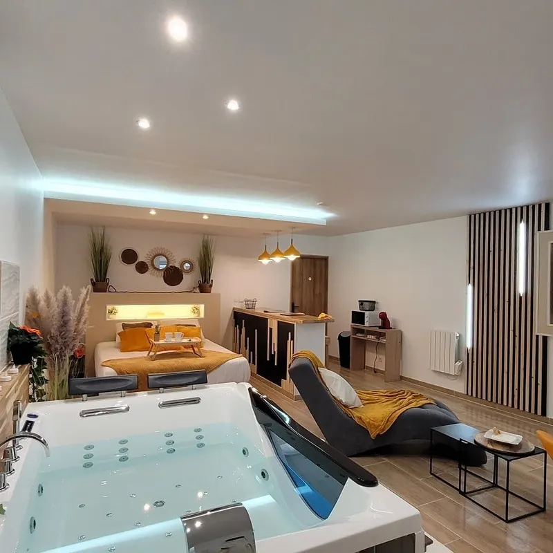 La Phine Détente — Cocoon à La Bassée, 60 m² avec balnéo 48 jets et douche double à La Bassée