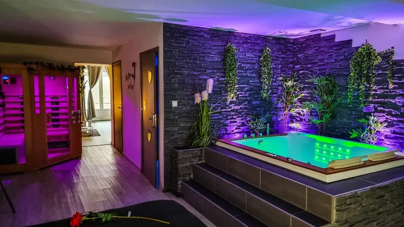 Appart Spa Gray — Appartement de 75 m² avec balnéo et sauna au centre historique à Gray