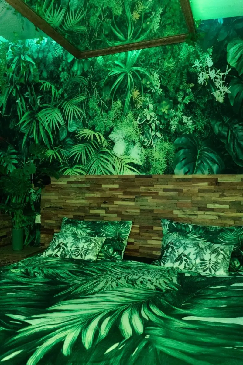 La Jungleroom à Perpignan