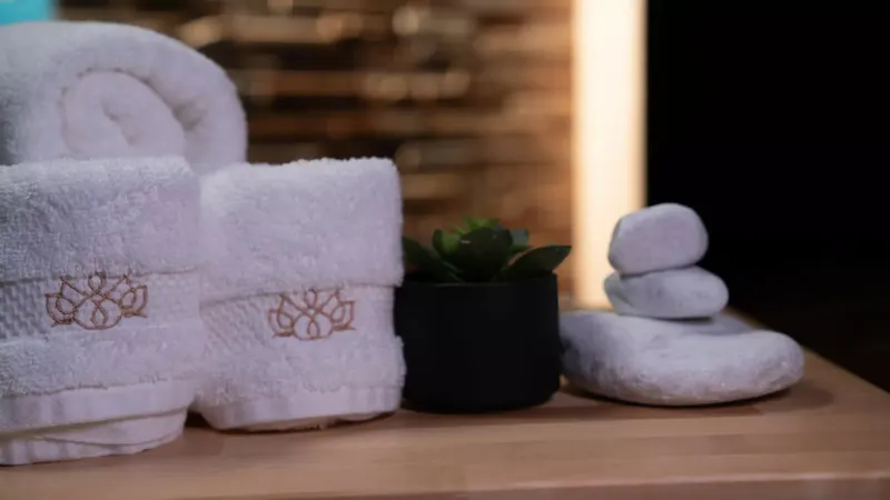 Pandora Wellness à Lomme