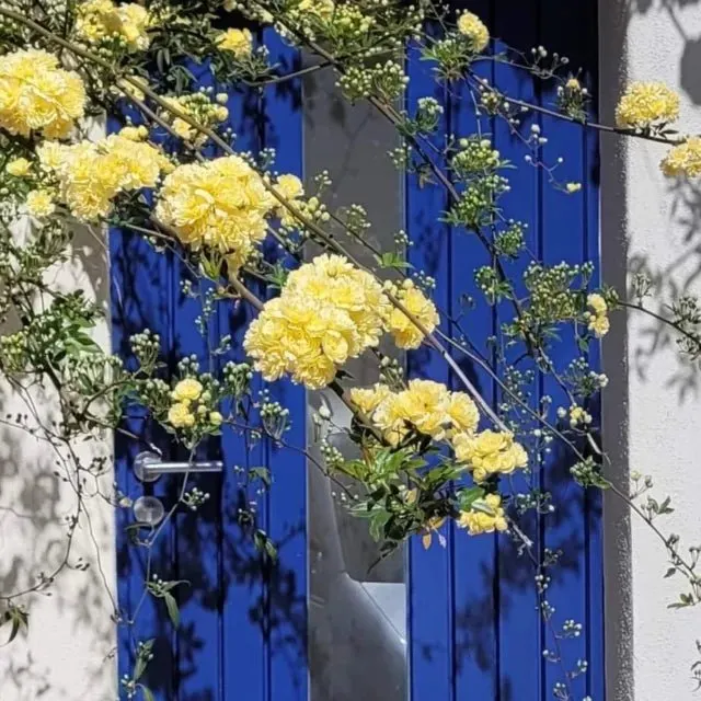 La Promenade Suite & Spa à Congénies