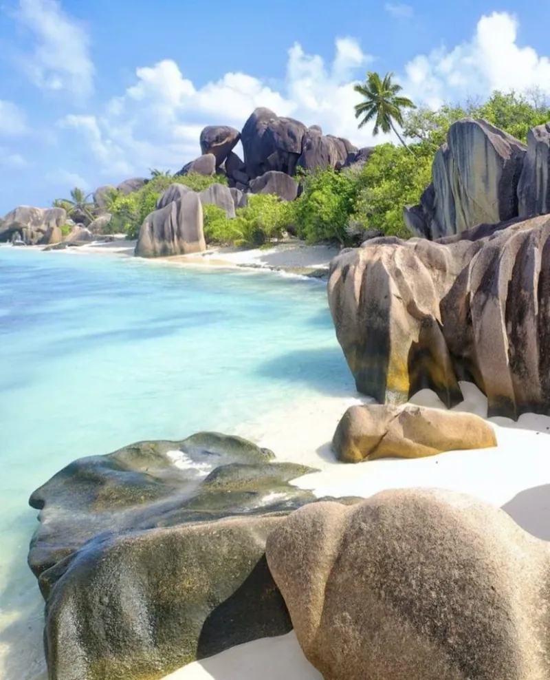 Les meilleures activités aux Seychelles lors de votre mariage - luxury event- luxury wedding planner seychelles - luxury events agency