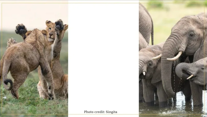 se marier en Afrique avec Luxury events agency-wedding planner de luxe Afrique - destination wedding