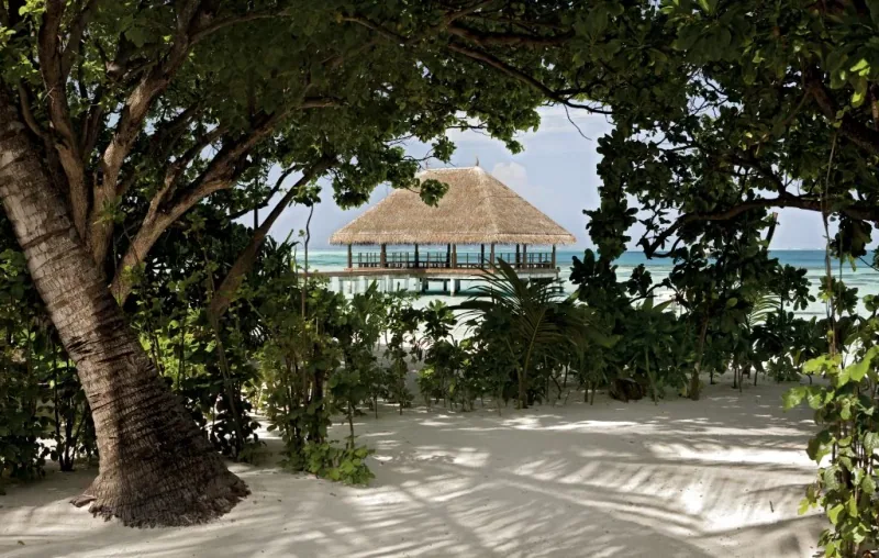 Se-marier-à-Constance-Moofushi-aux-Maldives, mariage-de-luxe-intimiste-poétique-par-Luxury-Events-Agency-dans-un-atoll-préservé, Wedding-planner-Maldives-Wedding-planner-de-luxe-Maldives-Luxury-events-agency-Maldives
