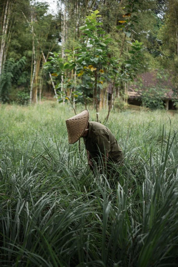 Se marier à Bali- mariage de luxe à Bali - Wedding planner de luxe Bali- Luxury-events-agency-Bali