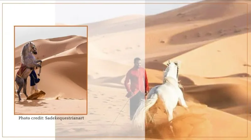 Les-17-meilleures-activités-que-vos-convives-vont-extrêmement-aimer-durant-votre-mariage-à-Marrakech-luxur-events-agency