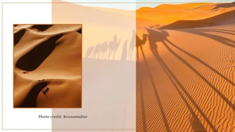 Les-17-meilleures-activités-que-vos-convives-vont-extrêmement-aimer-durant-votre-mariage-à-Marrakech-luxur-events-agency