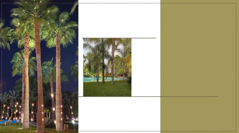 Les-17-meilleures-activités-que-vos-convives-vont-extrêmement-aimer-durant-votre-mariage-à-Marrakech-luxur-events-agency