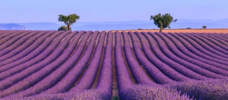 Les 5 meilleurs lieux de mariage en Provence - Destination wedding - Wedding planner Provence