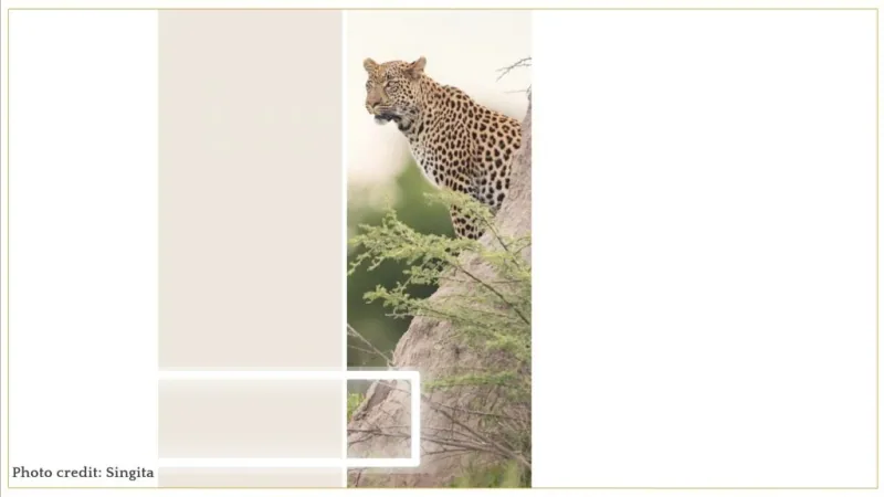 se marier en Afrique avec Luxury events agency-wedding planner de luxe Afrique - destination wedding