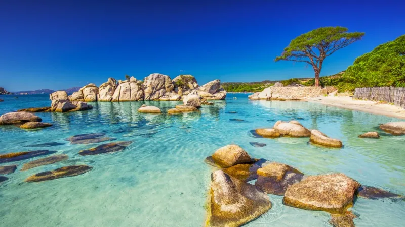 Se marier en Corse - wedding planner de luxe Corse - destination wedding