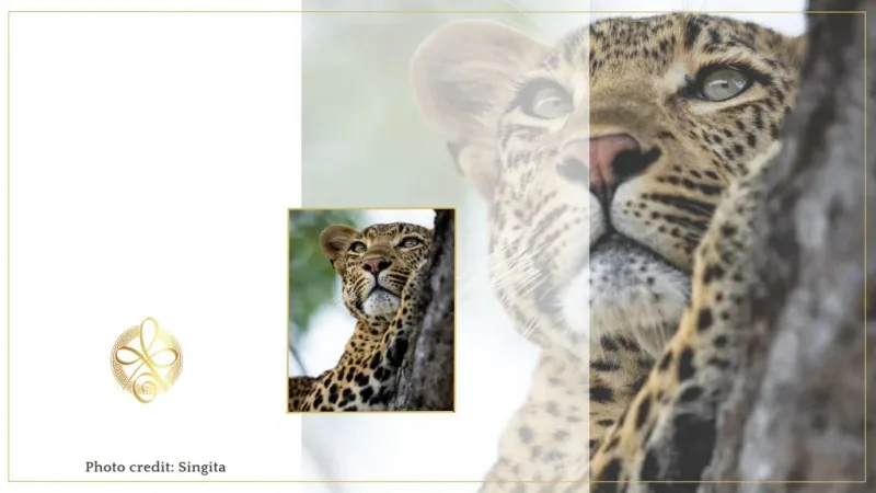 se marier en Afrique avec Luxury events agency-wedding planner de luxe Afrique - destination wedding