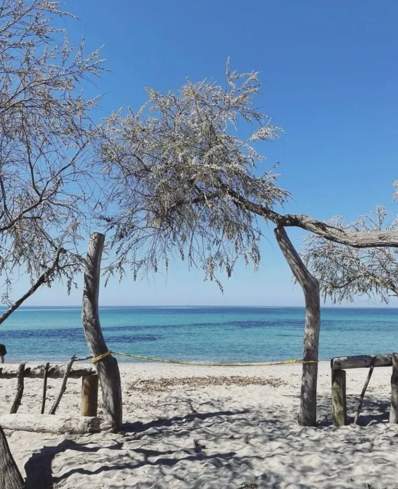 Casa Santa Teresa- Wedding planner Corse - Wedding planner de luxe Corse - Luxury wedding