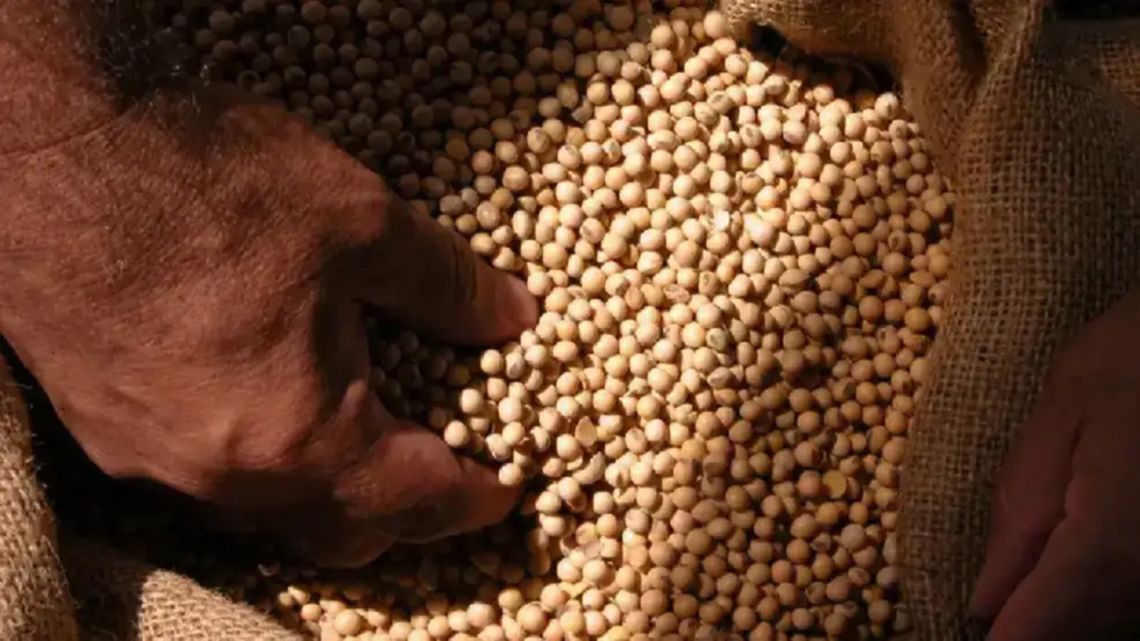 El Gobierno cambia el protocolo para proteger la propiedad intelectual de semillas