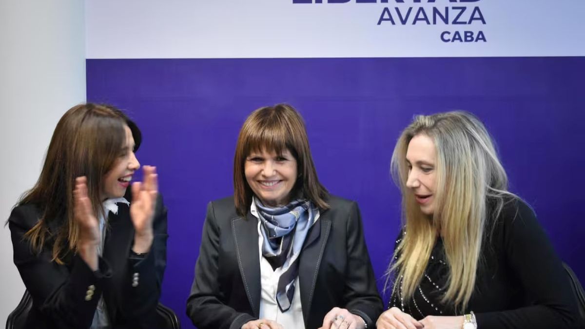 Bullrich suspendió un viaje y crece la tensión libertaria en el Senado