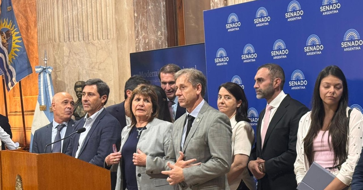 Bullrich busca recomponer la relación con aliados en el Senado