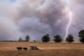 El Niño: proyectan calor atípico y lluvias intensas para Argentina en la segunda mitad del año