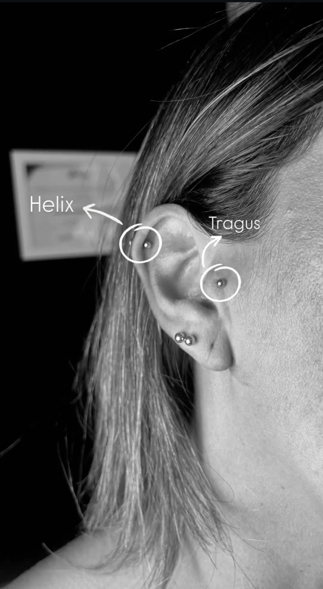 Piercing: trabajo 2