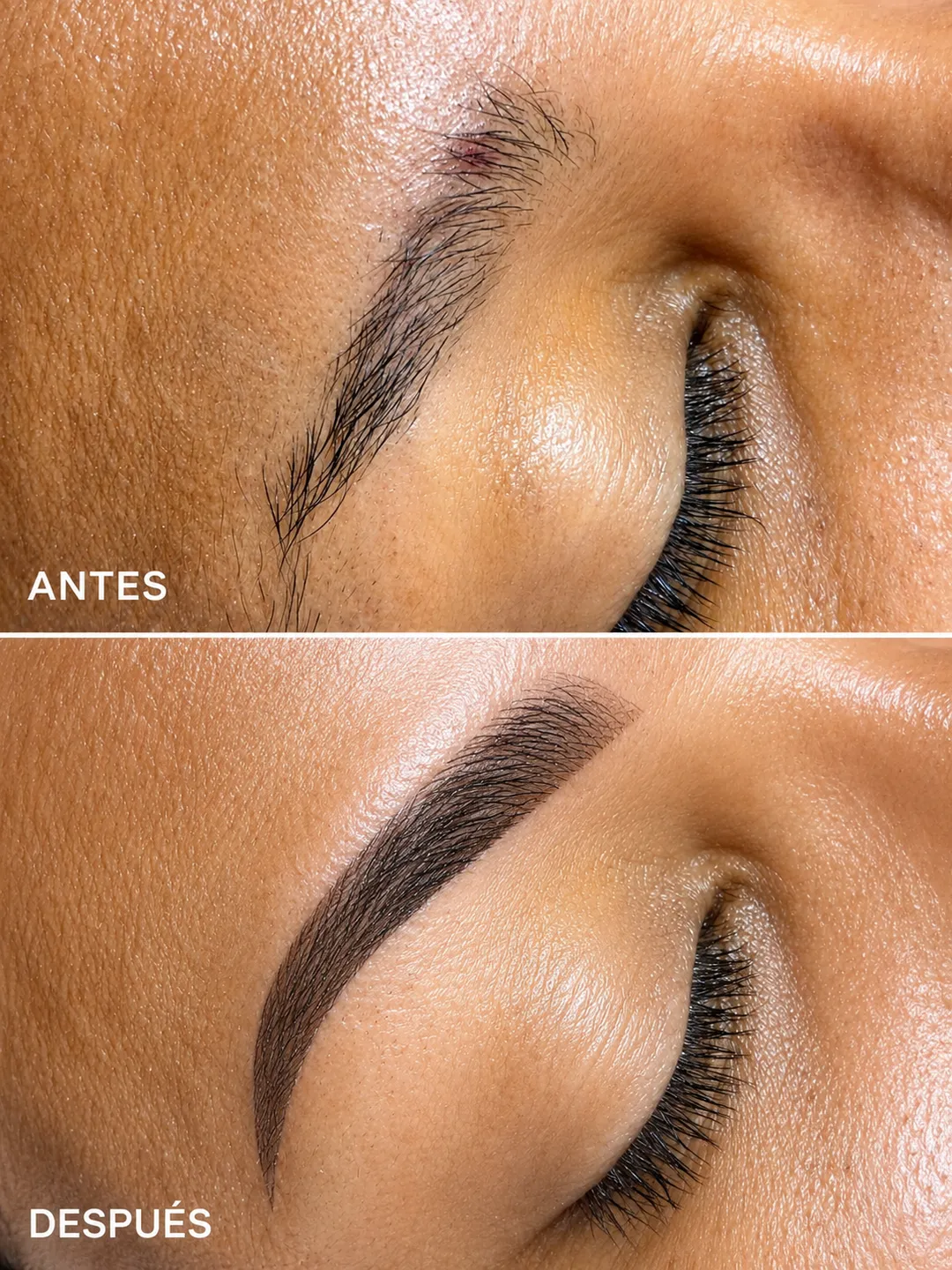 Micropigmentacion de cejas: trabajo 1