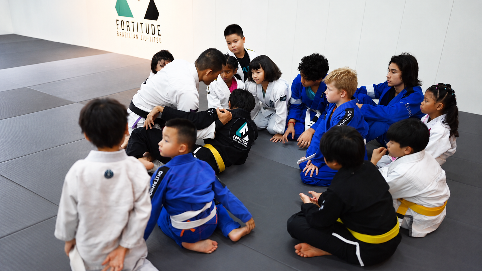 BJJ Group Class
