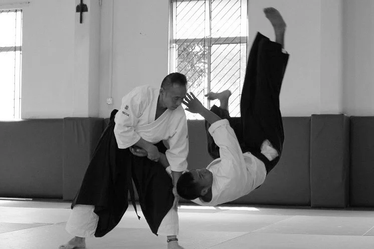 Aikido Introductory Group Class (Adults, Beginner)