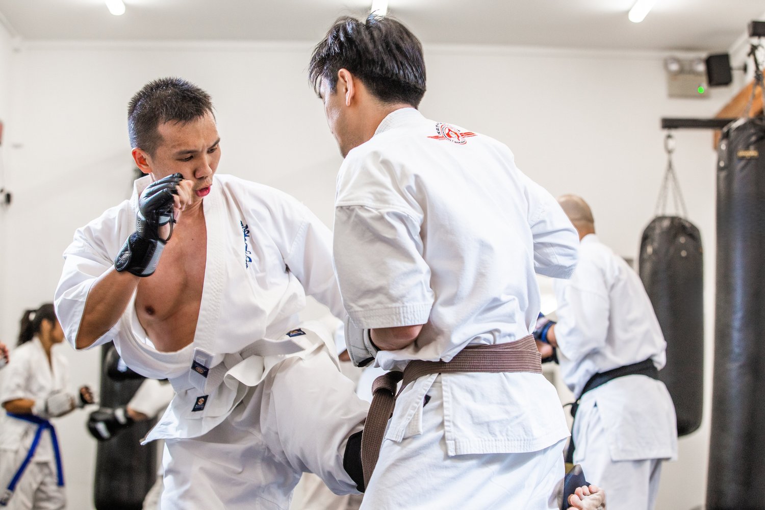 Karate Sparring Group Class (All Ages, Intermediate & Advanced)