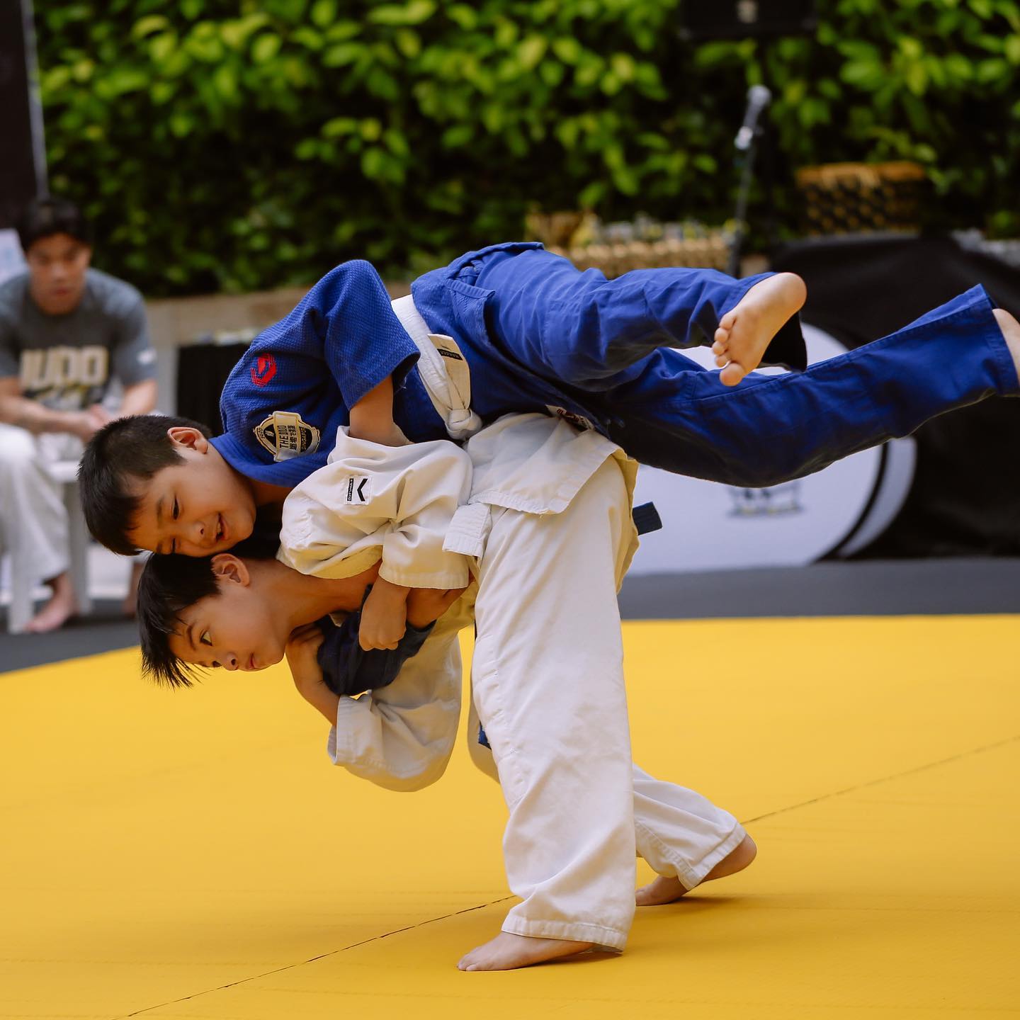 Judo Group Class (Ages 6-12, Intermediate & Advanced)