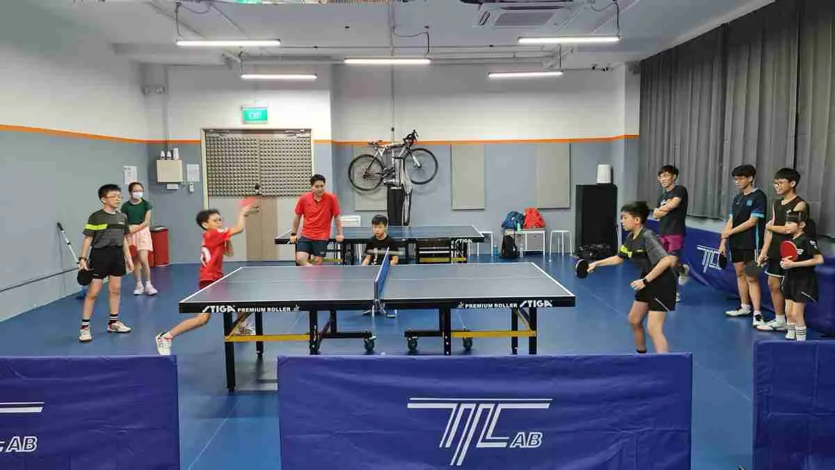 Table Tennis Group Class (Ages 6-16, All Levels)