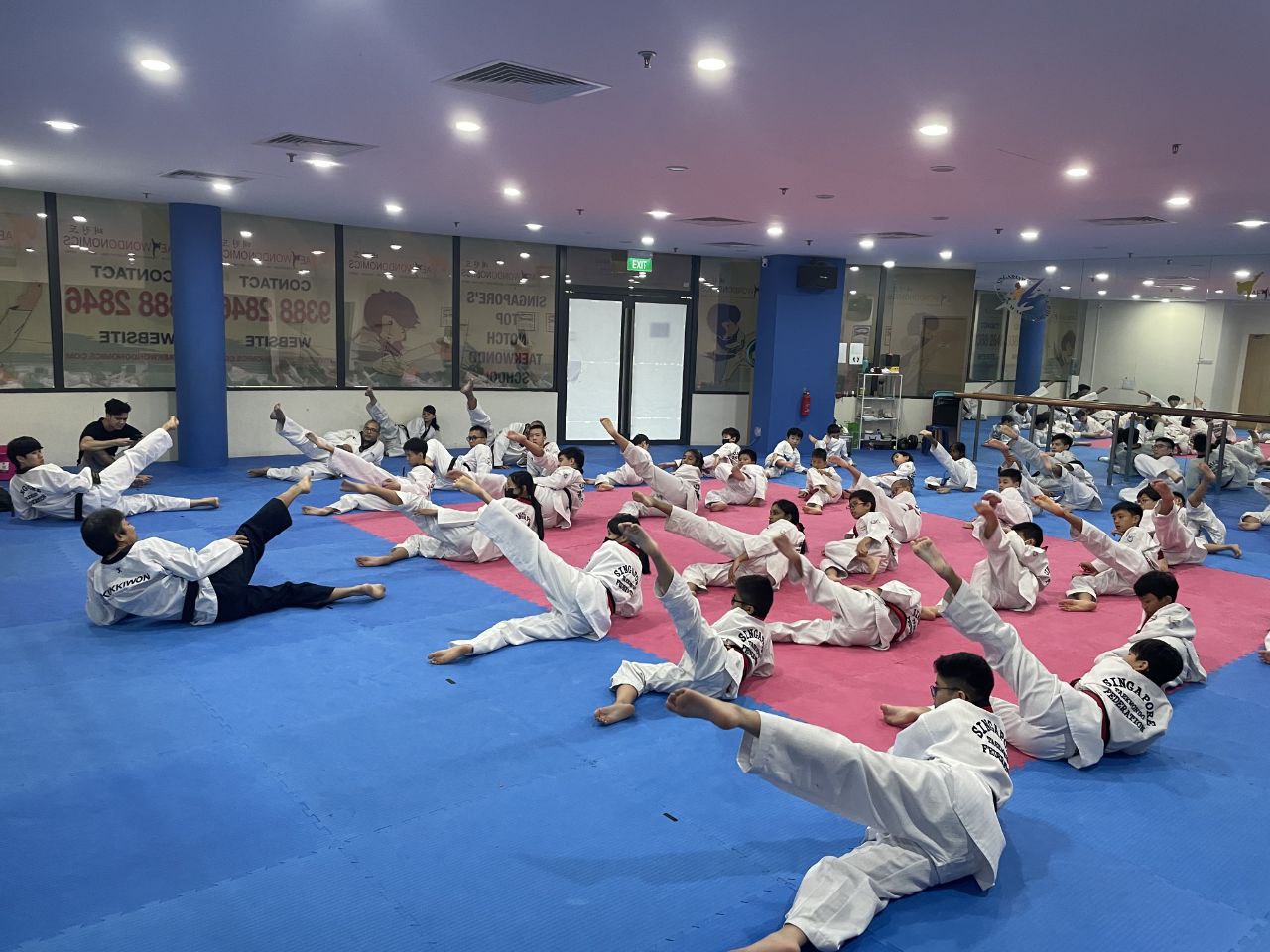 Taekwondo Group Class (Ages 6-14, All Levels)
