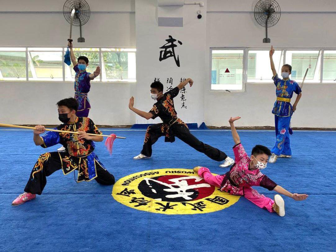 Wushu Competitive Group Class (Ages 4-16, Advanced)