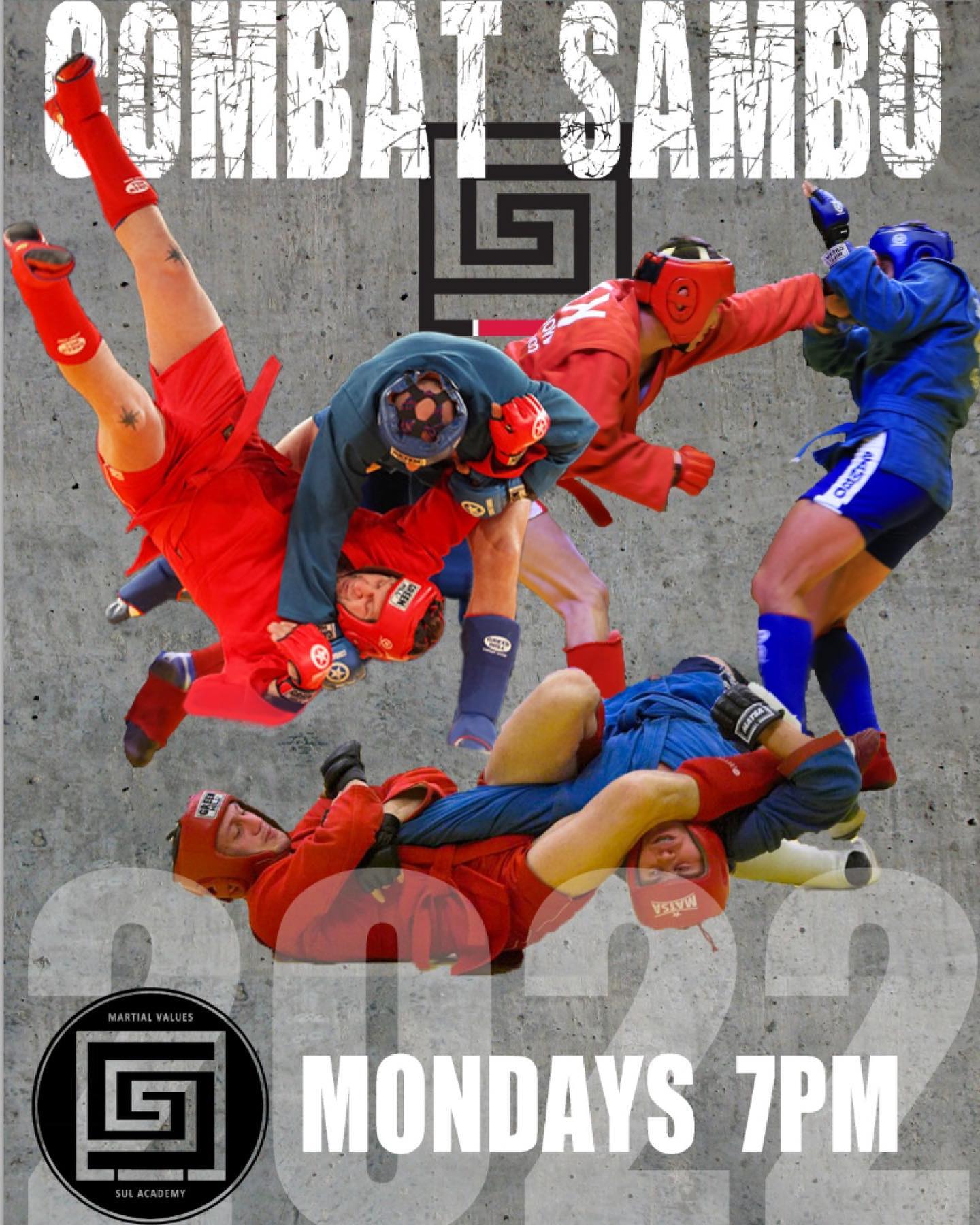 Sambo Group Class (Adults & Teens, All Levels)