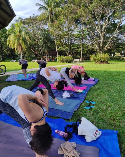 Outdoor Vinyasa Flow Group Class (All Ages, All Levels)