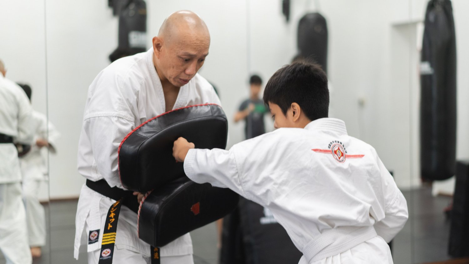 Karate Group Class (Ages 5-10, All Levels)