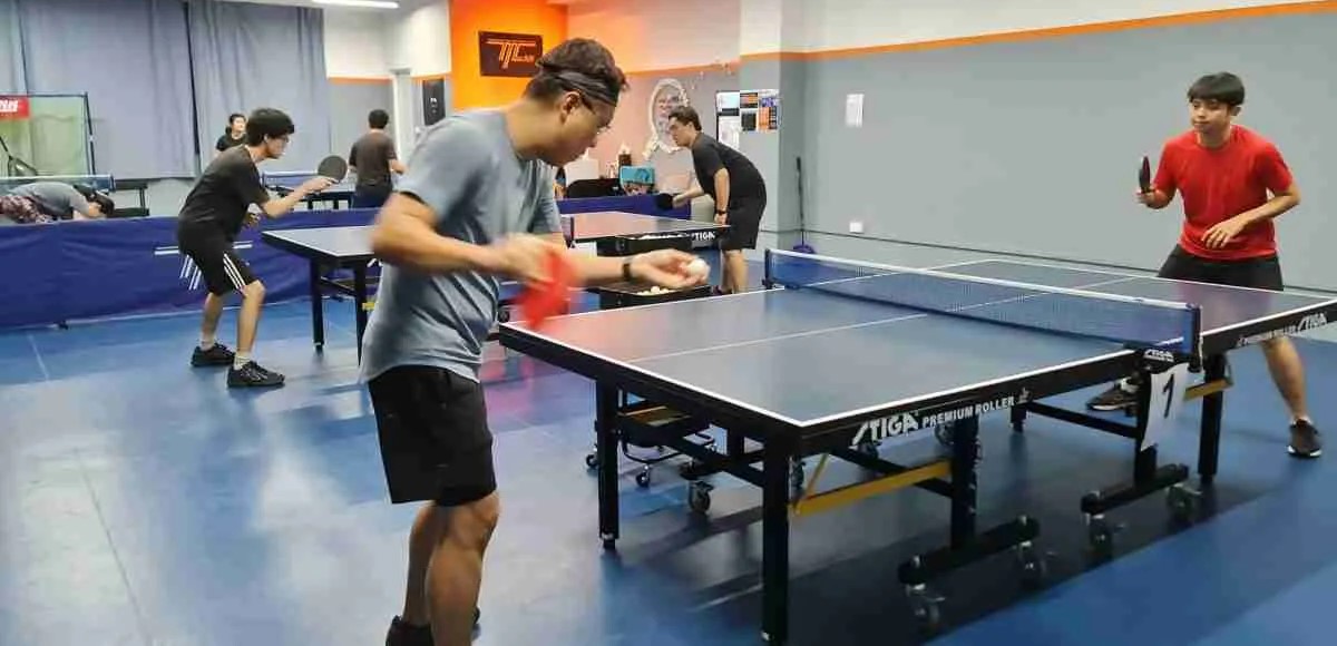 Table Tennis Group Class (Adults, All Levels)