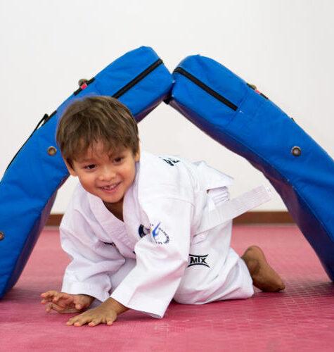 Taekwondo Group Class (Ages 3-5, All Levels)