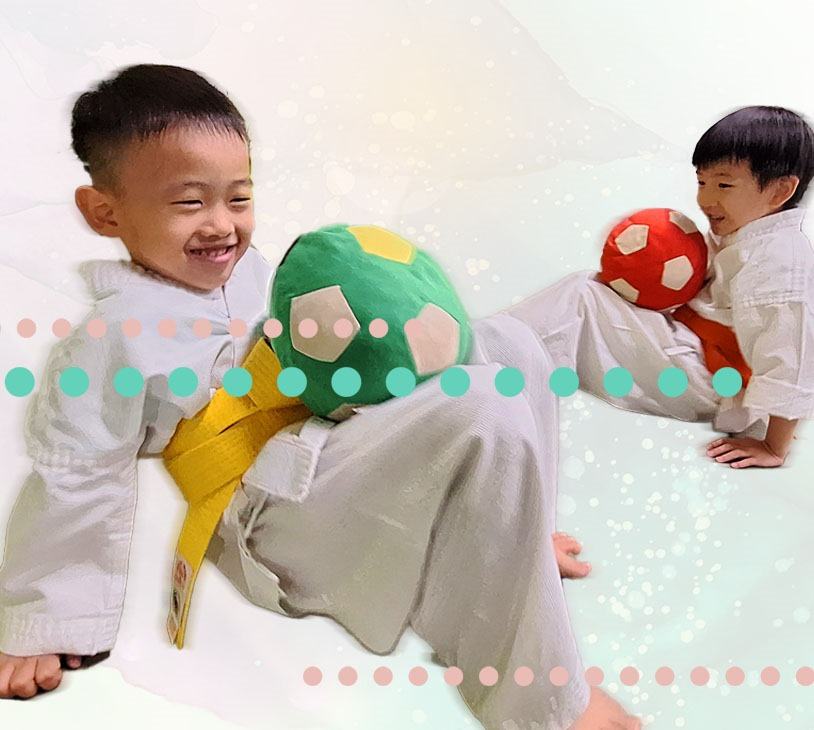 Aikido Group Class (Ages 3-5, All Levels)
